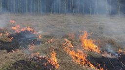 Kilkanaście pożarów dziennie. Zaczęło się wypalanie traw