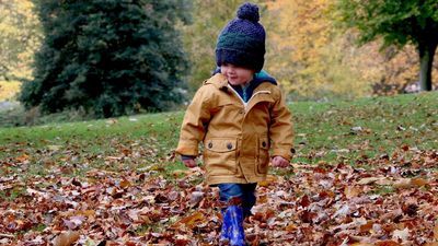 Zdjęcie ilustracyjne