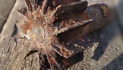 Niebezpieczne znalezisko w sadzawce. Przyjechali saperzy