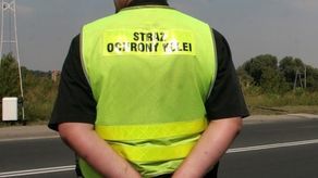 Zdjęcie ilustracyjne