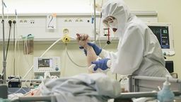 Zdjęcie ilustracyjne