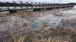 Zaśmiecone Jezioro Białe. Starosta zachęci strażaków do sprzątania 