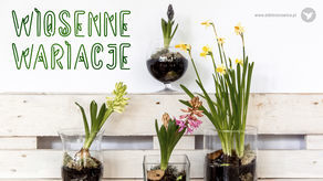 Warsztaty tworzenia wiosennych ozdób