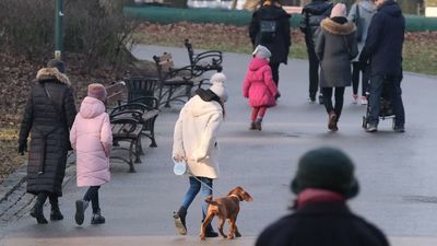 Mandat "za psa" wyższy już od soboty