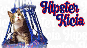 Tworzenie legowisk dla kotów. Warsztaty online