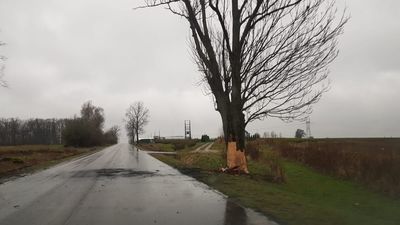 Tragiczny wypadek. Samochód uderzył w drzewo i stanął w ogniu. 19-latka nie żyje