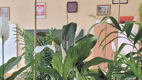 Część roślin uczniowie już kupili