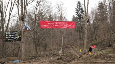 Akcja protestacyjna w Puszczy Karpackiej