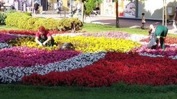 Chełm: Spółka chce pożyczyć spółce pracowników. ”To ratowanie trupa naszym kosztem”