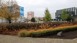 Ostatnim rokiem, w którym przeprowadzono głosowanie na projekty BO był 2019. W puli zabezpieczono wtedy na ten cel 2,2 mln zł. W roku 2020 z konsultacji zrezygnowano