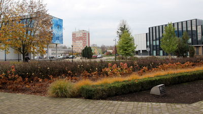 Ostatnim rokiem, w którym przeprowadzono głosowanie na projekty BO był 2019. W puli zabezpieczono wtedy na ten cel 2,2 mln zł. W roku 2020 z konsultacji zrezygnowano