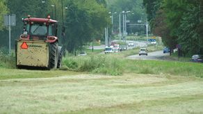 Lublin: Tutaj skoszą trawę, tam zostawią. "Wybujała trawa jest bardziej pożyteczna"