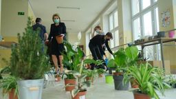 Lublin: Uczniowie "piątki" udekorowali szkołę kwiatami. Przywitają nauczycieli i swoich kolegów [zdjęcia]