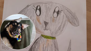 Ala szuka swojej Zumy. Zaginęła koło Lublina