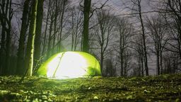 Od dziś na legalu można nocować w lesie.