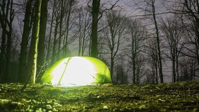 Od dziś na legalu można nocować w lesie.