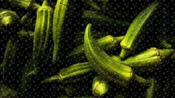 Wyzwanie ogrodnicze z Warsztatami Kultury: wyhoduj okrę