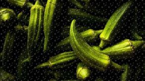 Wyzwanie ogrodnicze z Warsztatami Kultury: wyhoduj okrę