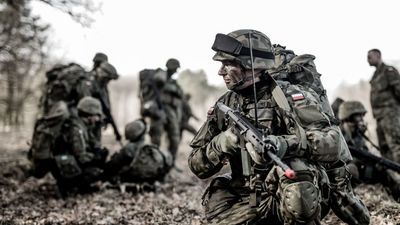 Będzie nowa brygada terytorialsów w Chełmie. Żołnierze wrócą też do Kraśnika