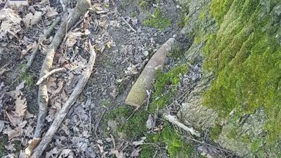 Miał być spacer do lasu w pow. świdnickim. Było wybuchowe znalezisko