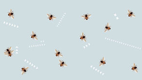 Warsztaty animacji z Warsztatami Kultury