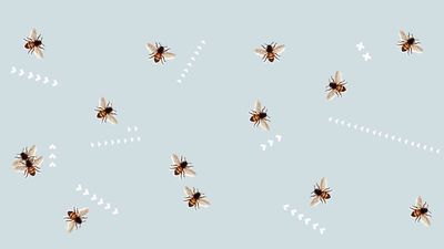 Warsztaty animacji z Warsztatami Kultury