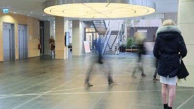 Komisja badała doniesienia o mobbingu u marszałka. Co ustaliła?