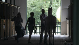 Śledztwo w sprawie stadniny w Janowie Podlaskim trwa pięć lat. Przedłużone o kolejne trzy miesiące