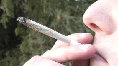 Lublin. Wyjątkowo wstydliwa wpadka. Zaproponował skręta policjantowi