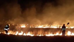 Strażacy z Rejowca ostro: "Sezon na głupotę rozpoczęty"