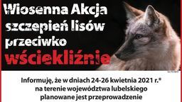 Ważne! Rusza wiosenna akcja szczepień lisów przeciwko wściekliźnie