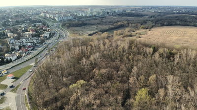 Górki czechowskie. Radny pyta prezydenta o podstawy zaskarżenia wyroku