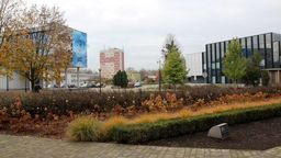 Puławski budżet obywatelski wraca po przerwie