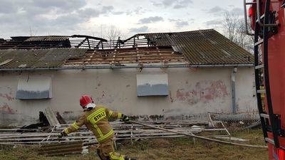 Pożar kurnika w Niedrzwicy Dużej, a w środku 18 tys. kurcząt