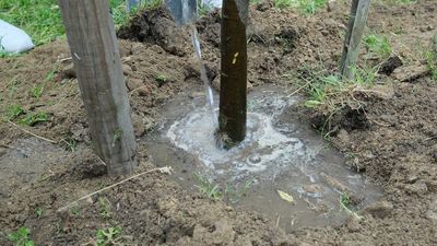 Zdjęcie ilustracyjne