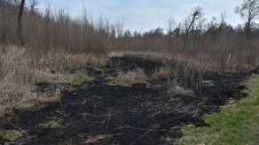 Lubelskie: Podpalacz złapany na gorącym uczynku