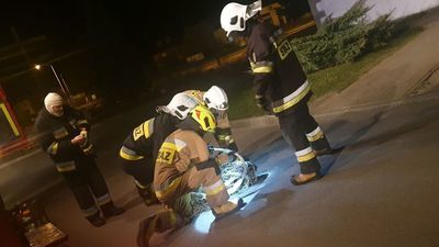 Lubelskie. "niebezpieczne zwierzę atakuje ludzi", a ono tylko odganiało się od gapiów