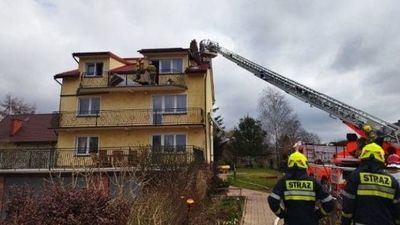 Pożar domu w Dominowie. Mieszkańcom udało się uciec