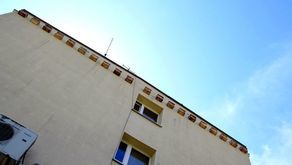 Tak wyglądają budki dla jerzyków wywieszane w Kraśniku