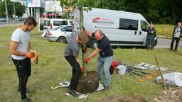 Lublin. Pierwsze z 25 już w ziemi