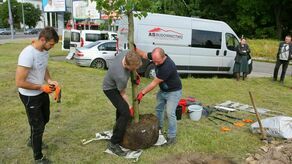 Lublin. Pierwsze z 25 już w ziemi