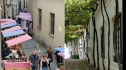 Lublin: Stare Miasto szykuje nową, zieloną atrakcję. Ulica może się tak zmienić