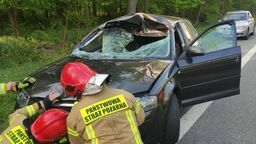 Tak wygląda audi po zderzeniu z Łosiem. Policja mówi o wielkim szczęściu kierowcy