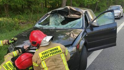 Tak wygląda audi po zderzeniu z Łosiem. Policja mówi o wielkim szczęściu kierowcy