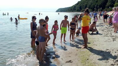 Kolonie i obozy 2021. Już wiadomo jakie wymogi muszą spełnić organizatorzy