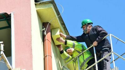 Włodawa. Zaskakujące reakcje na budki dla jerzyków. "To nie jest Natura 2000"