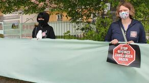 Godzina dla drzew - zielona wstęga na ul.Piłsudskiego