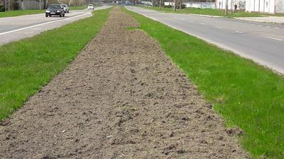 Chełm: Szykują się do zasiania najdłuższej łąki kwietnej 