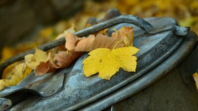 Zdjęcie ilustracyjne