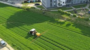 Lublin: Kolejne zabiegi na słynnym polu między blokami [zdjęcia]